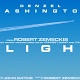 Flight43